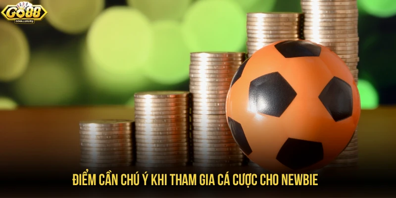 Điểm cần chú ý khi tham gia cá cược cho newbie