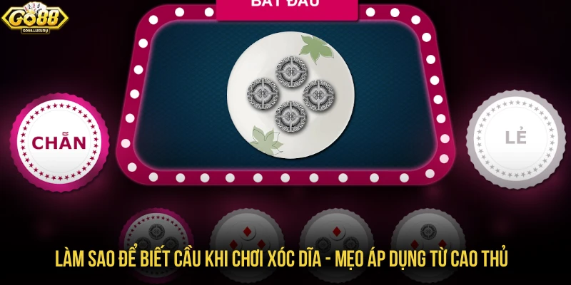 Làm sao để biết cầu khi chơi xóc dĩa - Mẹo áp dụng từ cao thủ