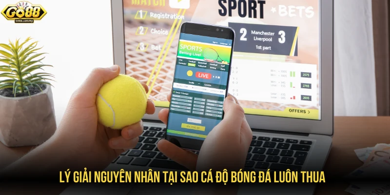 Lý giải nguyên nhân tại sao cá độ bóng đá luôn thua