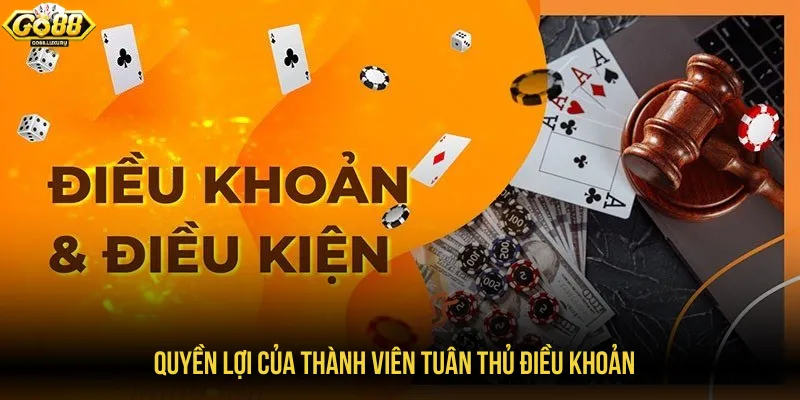 Thành viên tận hưởng quyền lợi hấp dẫn khi tuân thủ