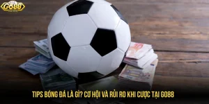 tips bóng đá là gì