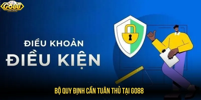 Tổng hợp bộ điều khoản điều kiện quan trọng cần đáp ứng